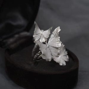 Dishi Silver Ring